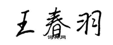 王正良王春羽行书个性签名怎么写