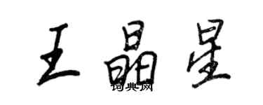 王正良王晶星行书个性签名怎么写