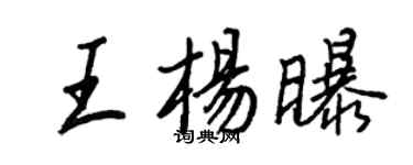 王正良王杨曝行书个性签名怎么写