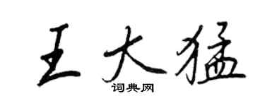 王正良王大猛行书个性签名怎么写