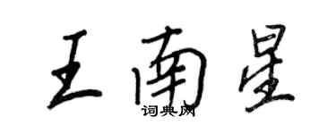 王正良王南星行书个性签名怎么写