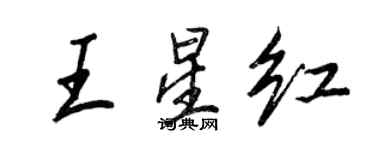 王正良王星红行书个性签名怎么写