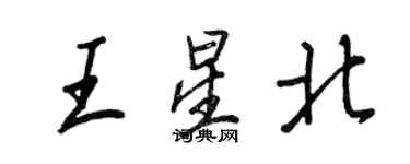 王正良王星北行书个性签名怎么写