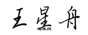 王正良王星舟行书个性签名怎么写