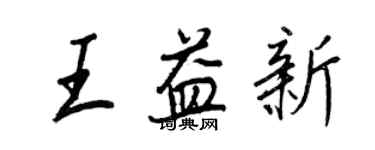 王正良王益新行书个性签名怎么写
