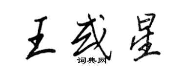 王正良王或星行书个性签名怎么写