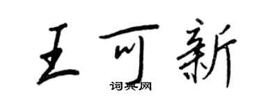 王正良王可新行书个性签名怎么写