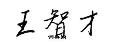 王正良王智才行书个性签名怎么写