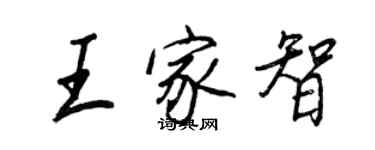 王正良王家智行书个性签名怎么写