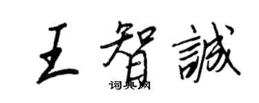 王正良王智诚行书个性签名怎么写