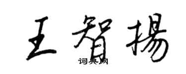 王正良王智扬行书个性签名怎么写