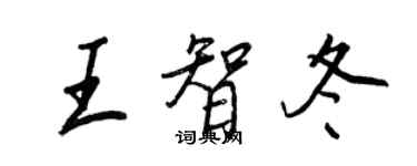 王正良王智冬行书个性签名怎么写