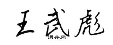 王正良王武彪行书个性签名怎么写