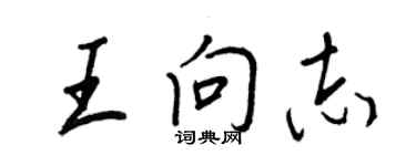 王正良王向志行书个性签名怎么写