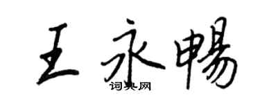 王正良王永畅行书个性签名怎么写