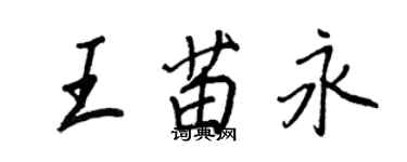 王正良王苗永行书个性签名怎么写