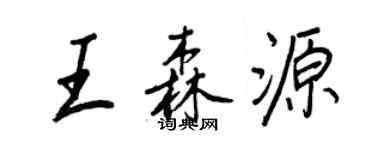 王正良王森源行书个性签名怎么写