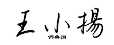 王正良王小扬行书个性签名怎么写