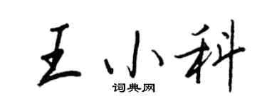 王正良王小科行书个性签名怎么写