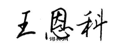王正良王恩科行书个性签名怎么写