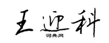 王正良王迎科行书个性签名怎么写