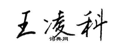 王正良王凌科行书个性签名怎么写