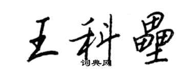 王正良王科垒行书个性签名怎么写