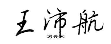 王正良王沛航行书个性签名怎么写