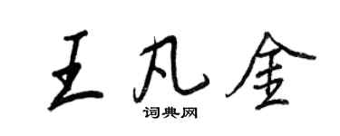 王正良王凡金行书个性签名怎么写