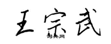王正良王宗武行书个性签名怎么写