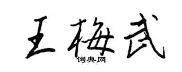 王正良王梅武行书个性签名怎么写