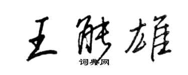王正良王能雄行书个性签名怎么写