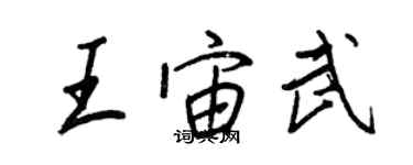 王正良王宙武行书个性签名怎么写