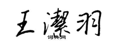 王正良王洁羽行书个性签名怎么写