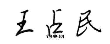 王正良王占民行书个性签名怎么写