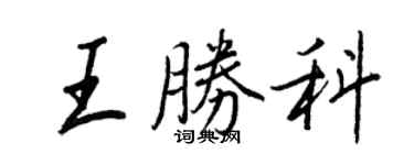 王正良王胜科行书个性签名怎么写