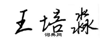 王正良王培淼行书个性签名怎么写