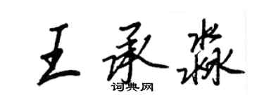 王正良王承淼行书个性签名怎么写