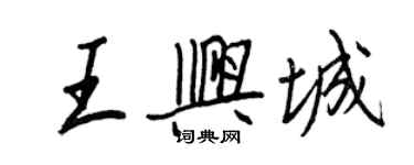 王正良王兴城行书个性签名怎么写