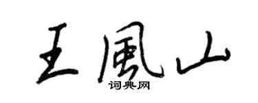 王正良王风山行书个性签名怎么写