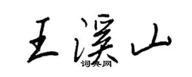 王正良王溪山行书个性签名怎么写