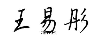 王正良王易彤行书个性签名怎么写
