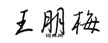 王正良王朋梅行书个性签名怎么写