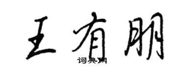 王正良王有朋行书个性签名怎么写