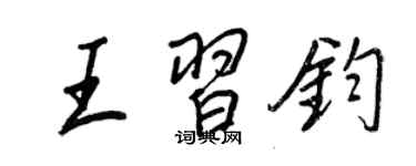王正良王习钧行书个性签名怎么写
