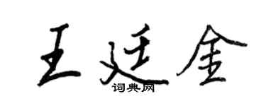 王正良王廷金行书个性签名怎么写