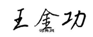 王正良王金功行书个性签名怎么写