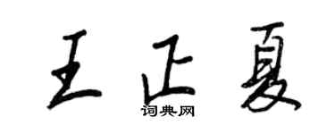 王正良王正夏行书个性签名怎么写