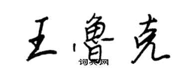 王正良王鲁克行书个性签名怎么写