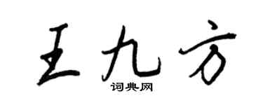 王正良王九方行书个性签名怎么写